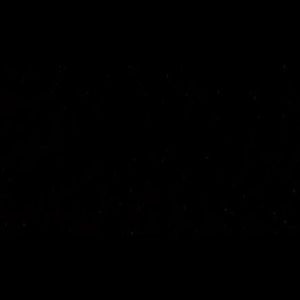 Meet your Posher, Kira